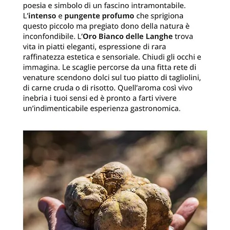La Corte Di San Rocco *